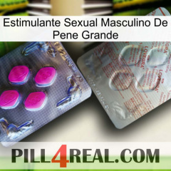 Big Penis Male Sexual Stimulant 38